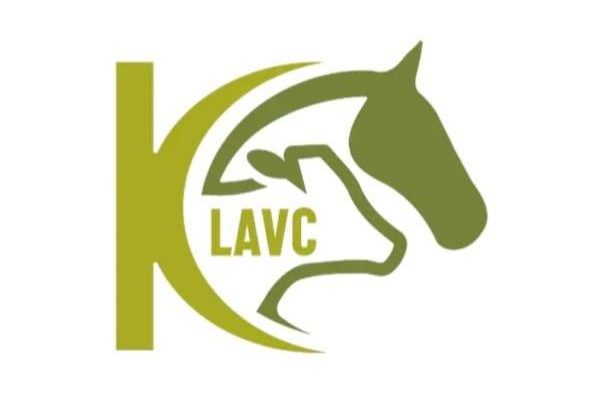 Kamloops Large Animal Veterinary Clinic logo, veterinary supporter of KTRA therapy horses