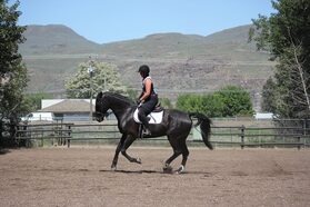 Ashley Sudds, Executive Director of Kamloops Therapeutic Riding Association
