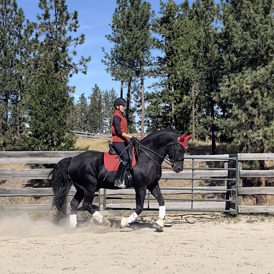 Gabriela Sladkova, Office Administrator at Kamloops Therapeutic Riding Association