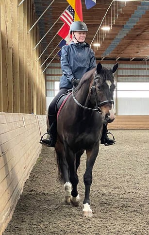 Brian, a Canadian Warmblood therapy horse at Kamloops Therapeutic Riding Association